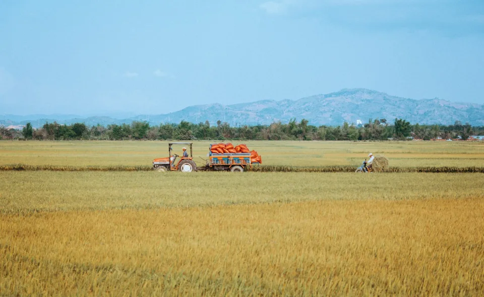 Kho gạo của Nguyễn Thị Tuyết